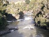 005 down stream from motu falls